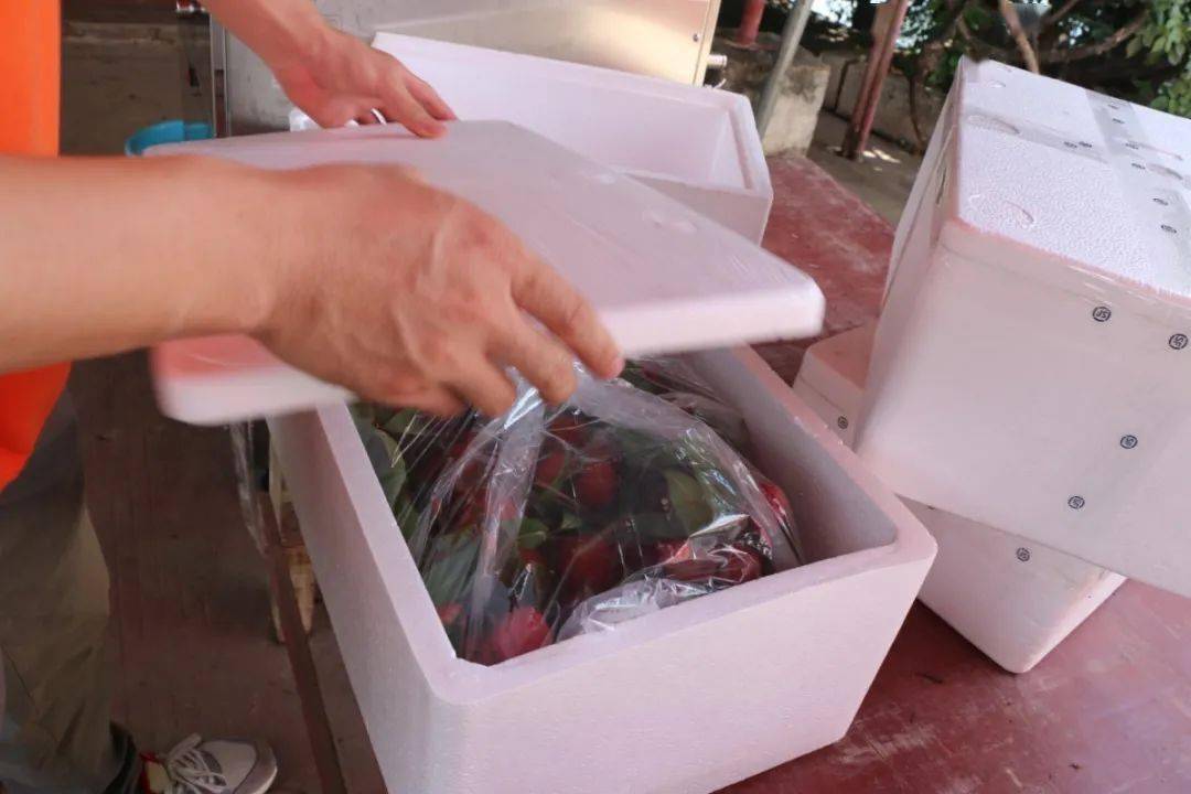 以最有效的方式确保荔枝安全,新鲜送达双重保险里层泡沫箱加冰袋,外层