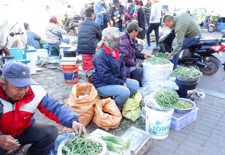 大兴安岭菜市场,野菜特别抢眼…_地摊儿