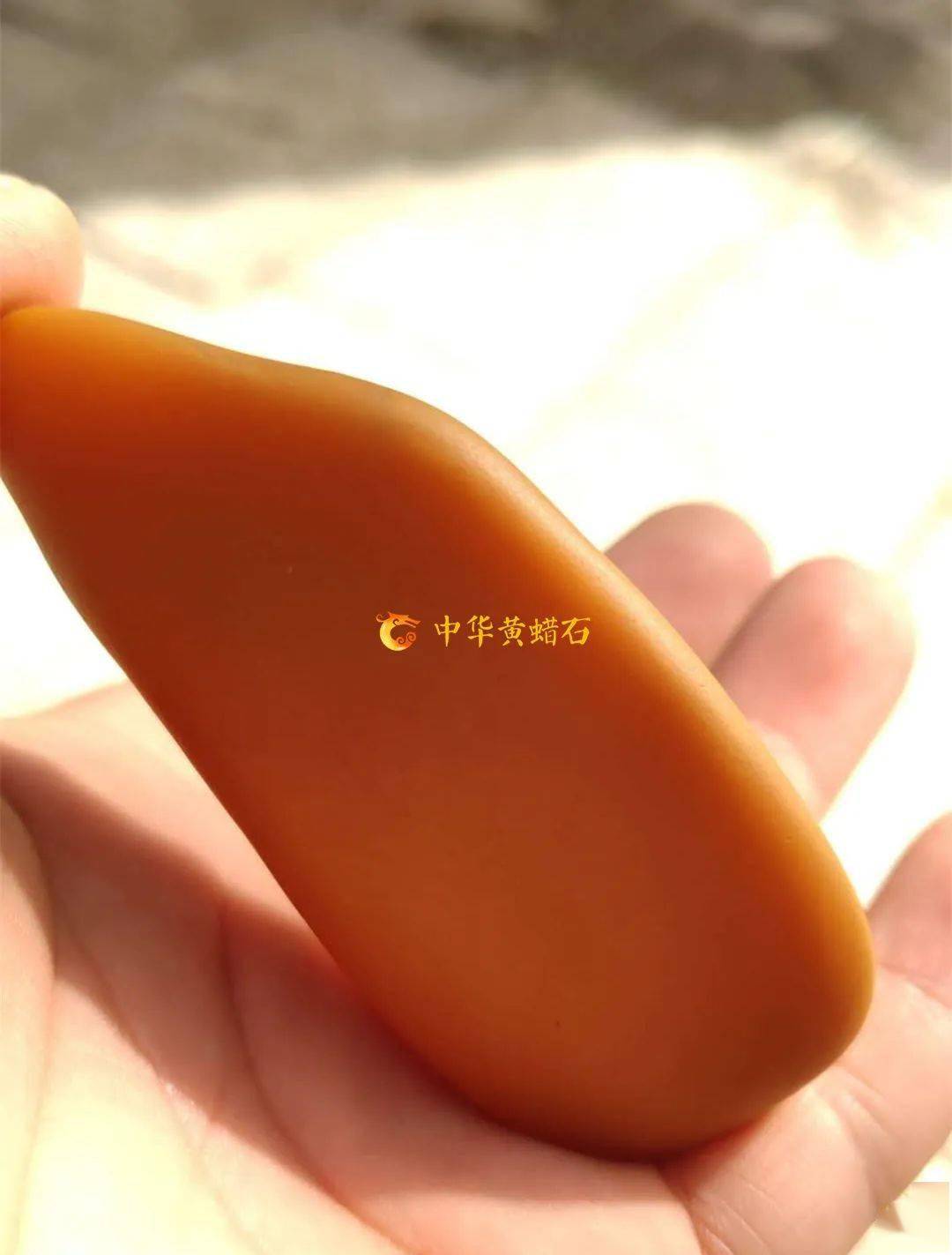 蜡石有百千形而作为生命的姿态又独有其精神