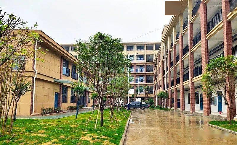 喜大普奔随州鹿鹤学校建成啦在哪儿长啥样快看