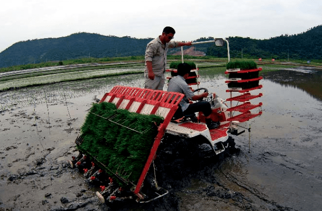 90年代用插秧机种田