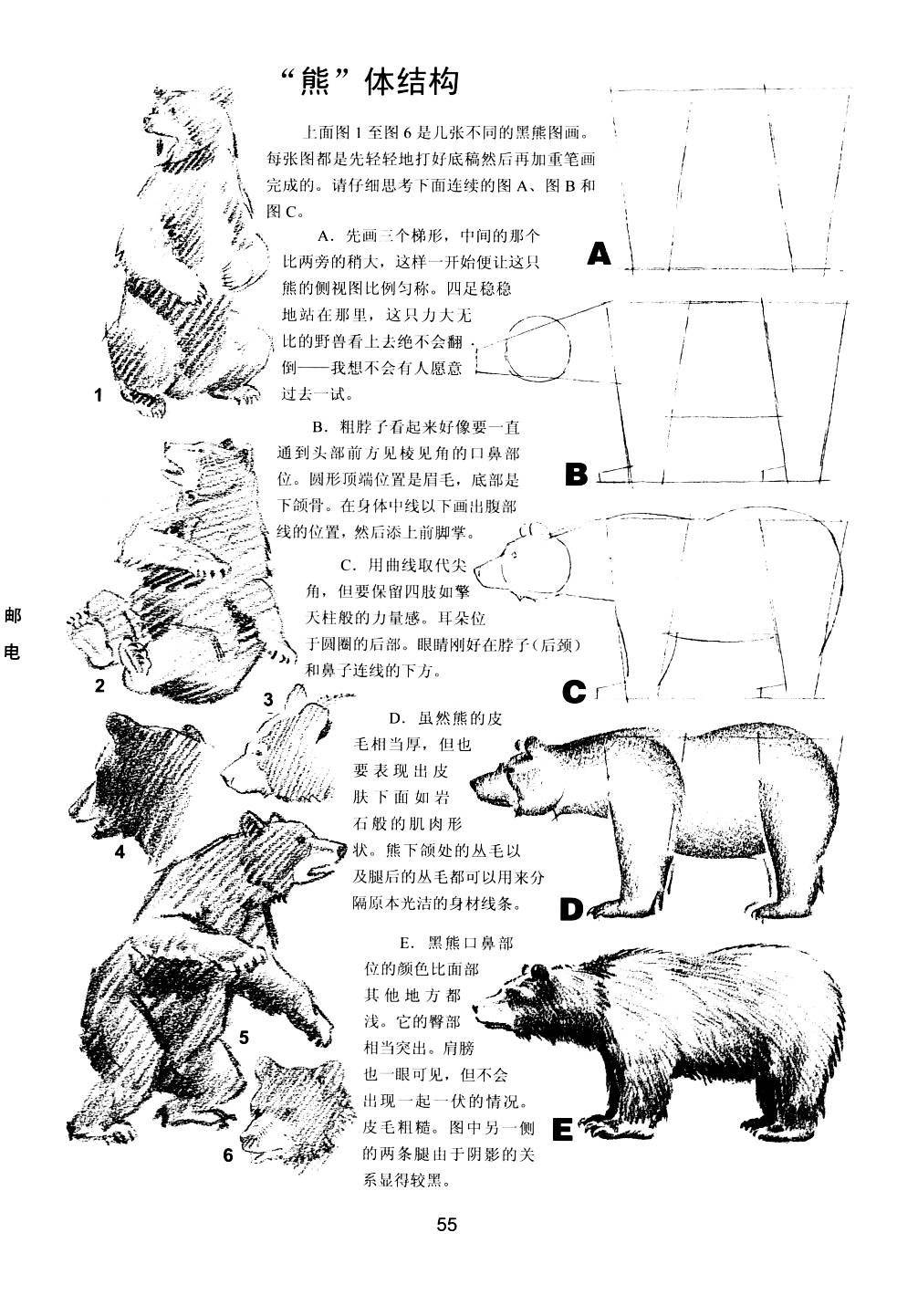世界绘画经典教程：动物素描-搜狐大视野-搜狐新闻