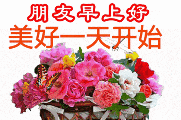 600_400gif 动态图 动图