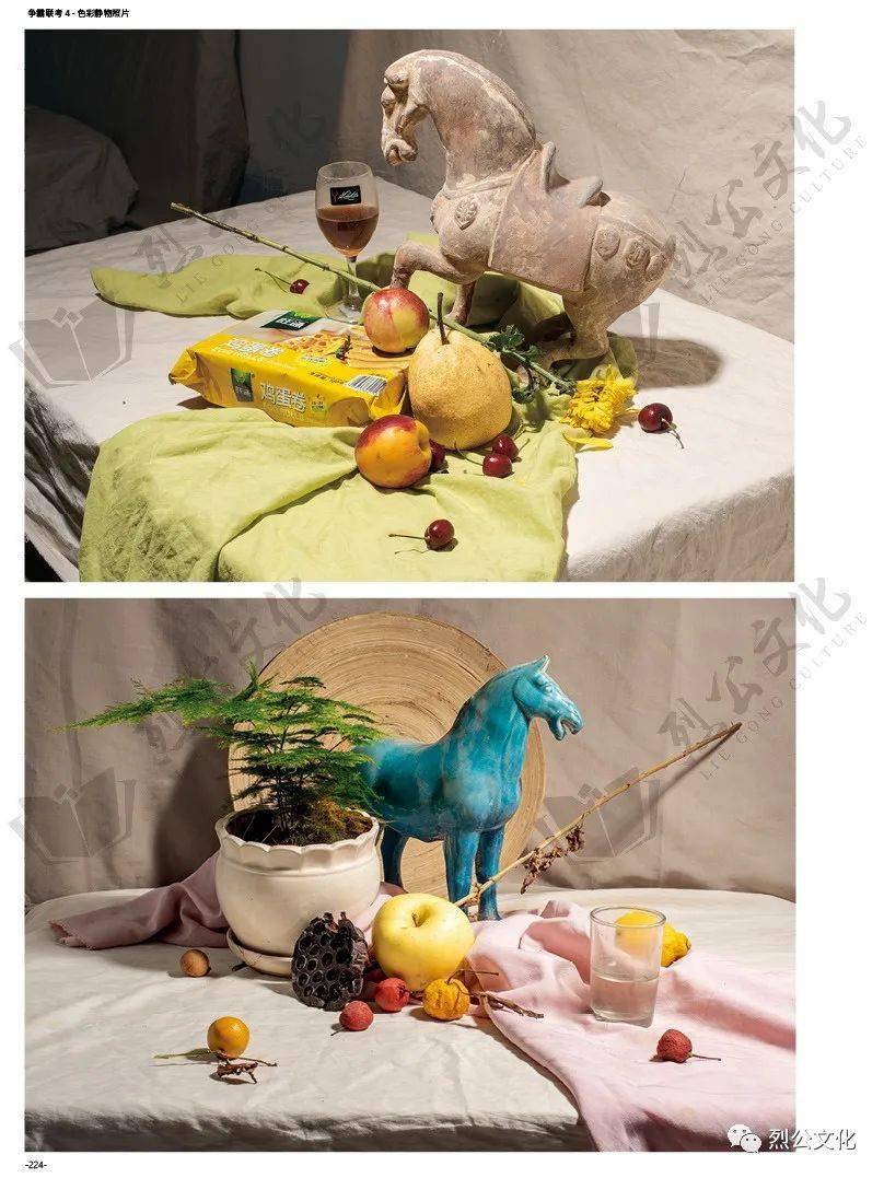 照片2020年一本格调与实用性结合的色彩静物照片书基础到考前一本通用