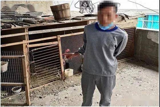 贵阳这个偷鸡贼落网他说专挑鸡下手是有原因的