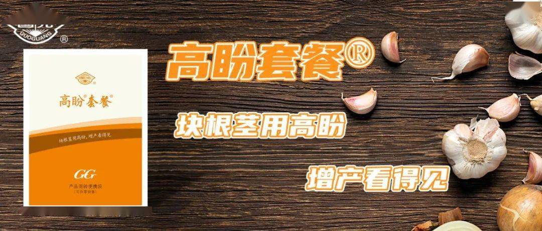 试验示范助力大蒜提质增产国光高盼套餐用效果说话