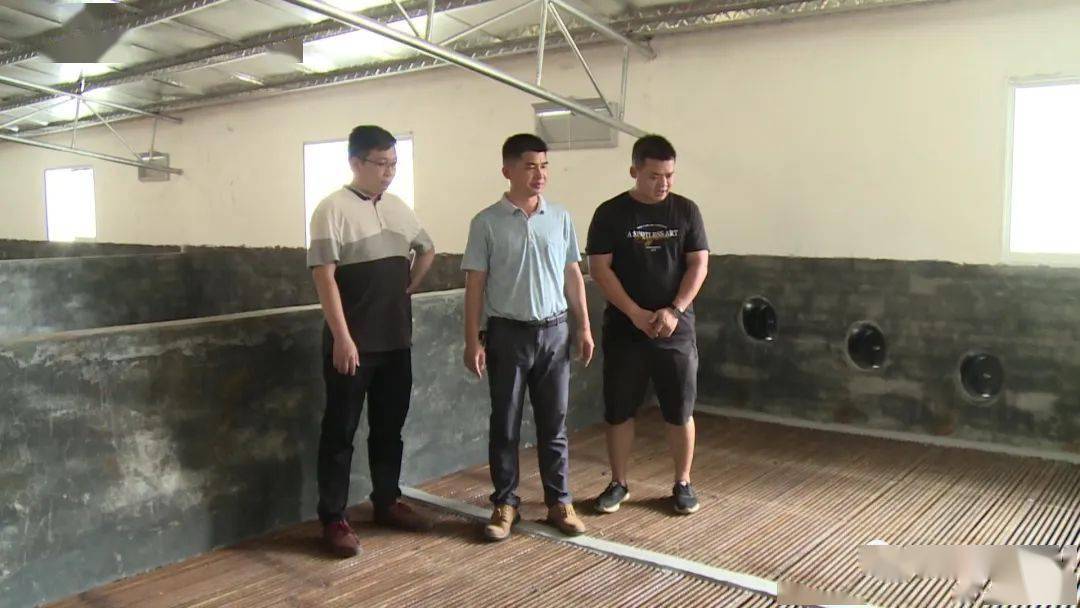 【决胜全面小康 决战脱贫攻坚】筋竹镇:精心谋划促发展 抱团齐育"致富
