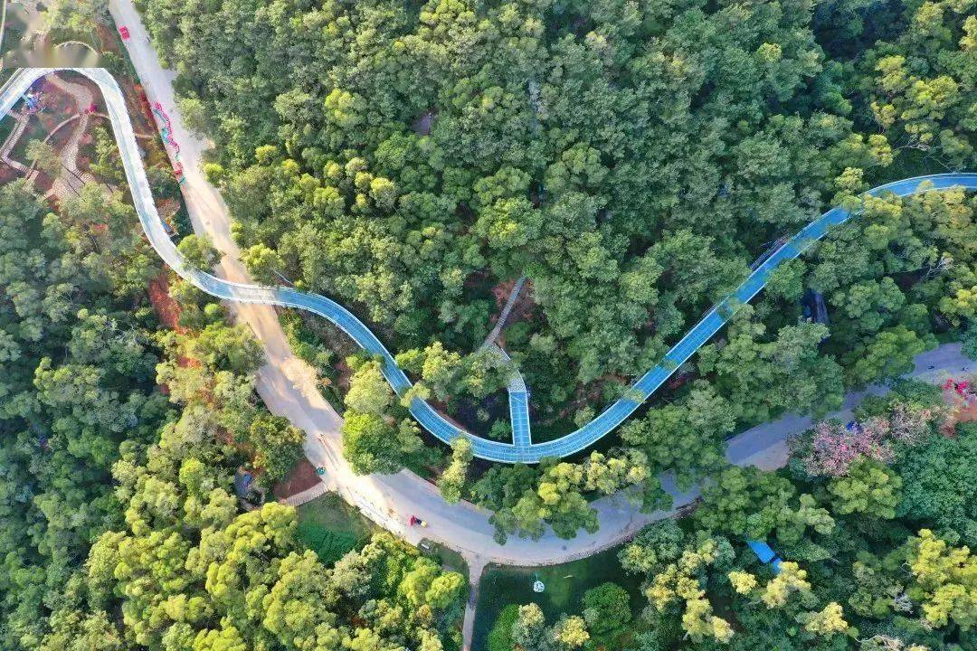 又有海景水色 厦门山海健康步道 陈立新 摄 好消息  未来在同安
