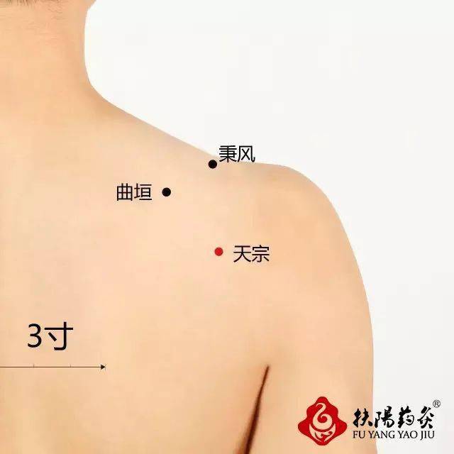 颈椎拖垮身体的死穴艾灸三个穴位消除颈椎并发症