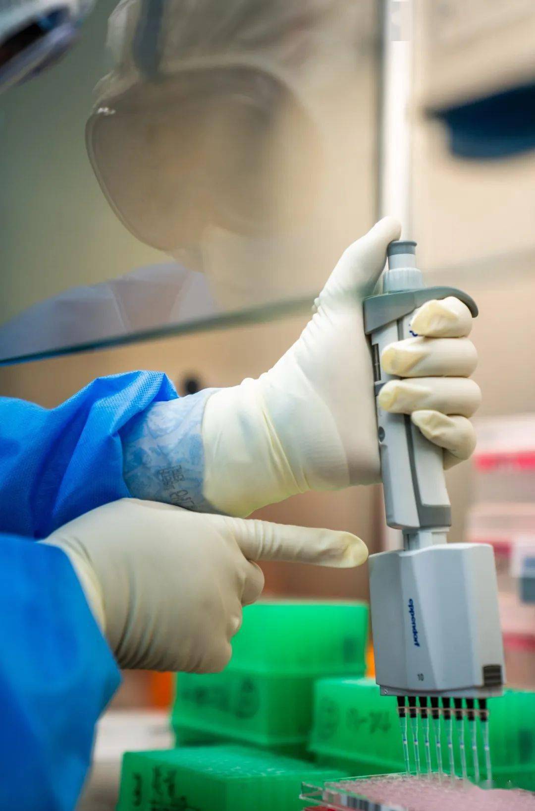 扩增区,检验技师将装有配置好的pcr反应体系的试剂盒放入扩增仪内