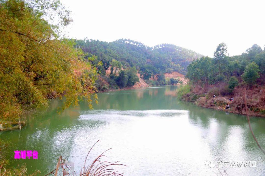 高埔石碼頭水庫,位於高埔鎮梅星村下轄的荷樹角村西北方,建於上世紀30