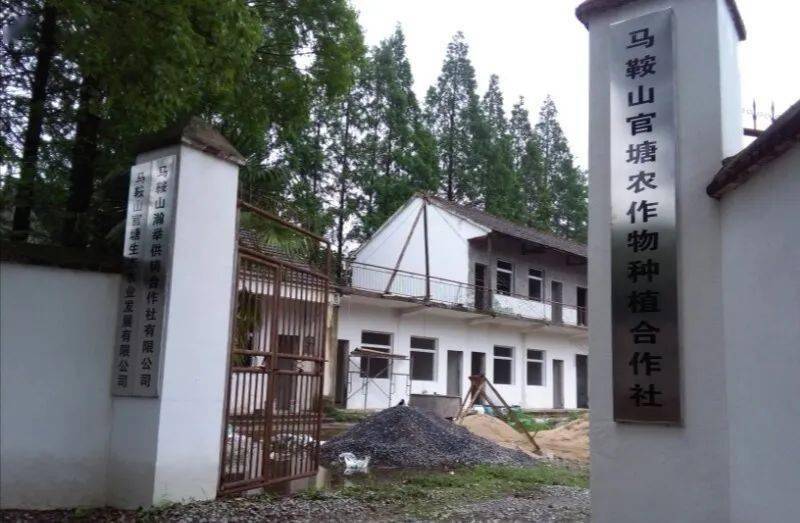 6月16日下午,走进姥桥镇官塘村原官塘小学旧址,昔日热闹的校舍已作他