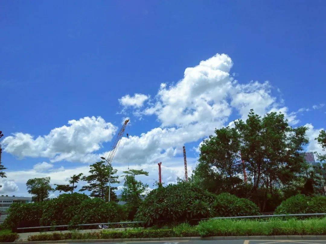 有短时(雷)阵雨;气温27-32℃;偏南风3级,阵风6级;相对湿度60%-95%june