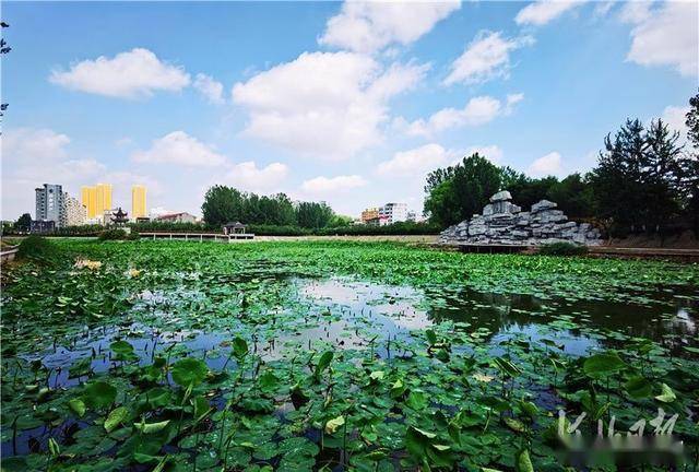 魏县"污水坑"今变"景观湖"