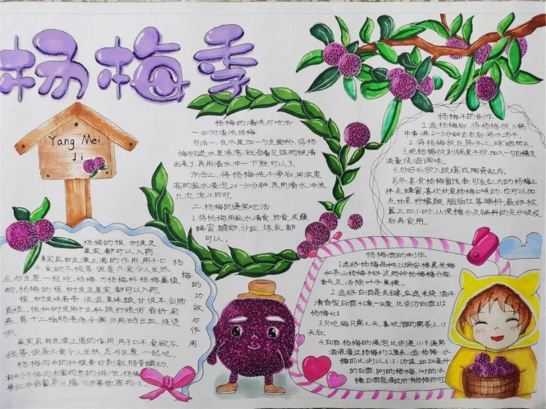 还让他们加入采摘队伍,实地感受,从大哥哥大姐姐手中接过杨梅,更接过