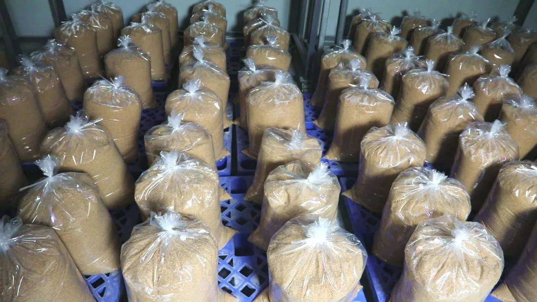 特驱酵享悦生物发酵替抗产品成功上市!_饲料