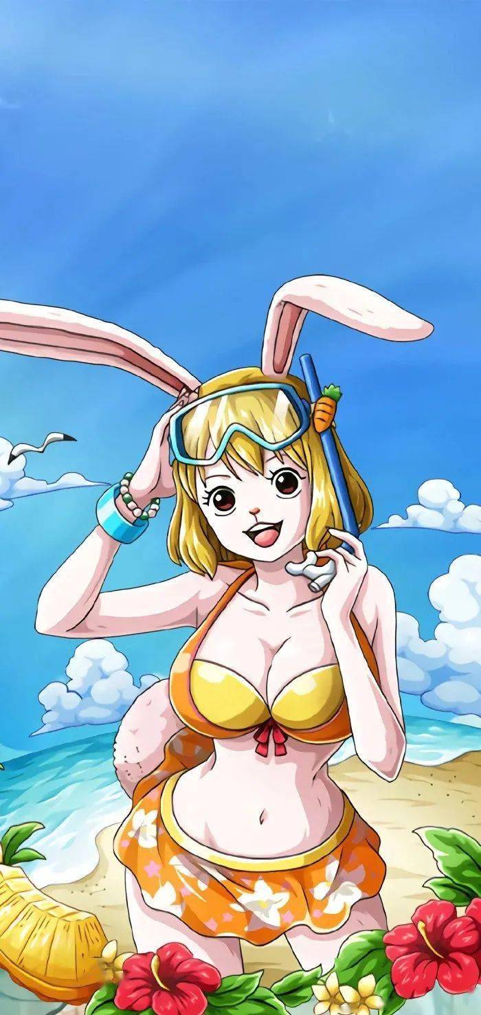 海贼王老婆们的壁纸合集