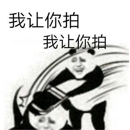 拍一拍表情包 | 今日被拍次数 1