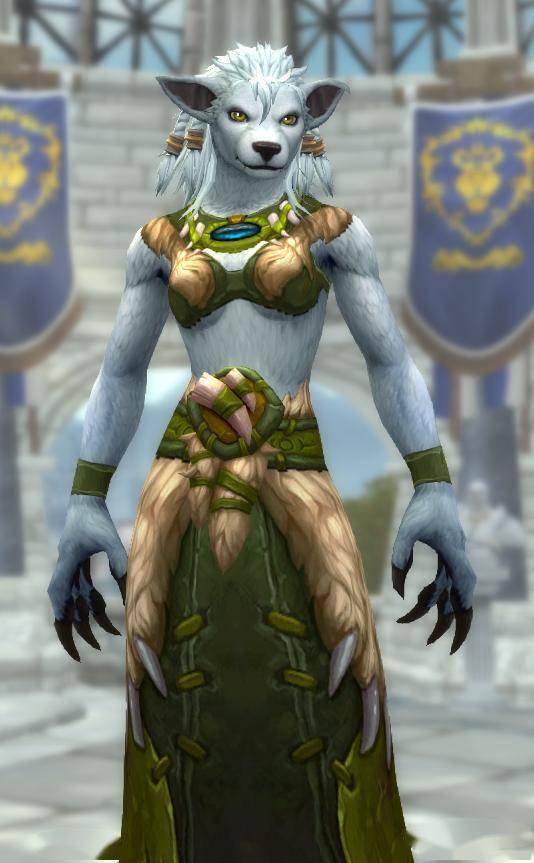 魔兽9.0前瞻:已经实装的狼人女性定制外观浏览