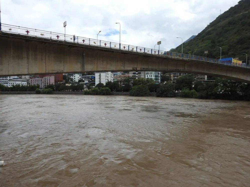 6月20日六库水文站实测水位已接近洪峰