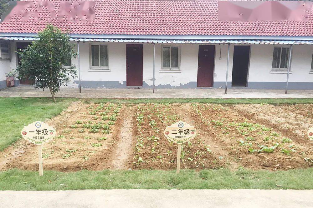 上海市白茅岭学校为培育和践行社会主义核心价值观,把劳动教育纳入