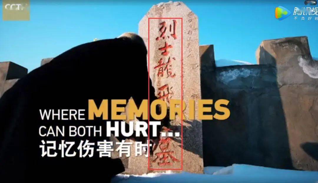 人民日报发布新疆反恐记忆纪录片完整版,汉源籍一级英模龙飞的事迹被