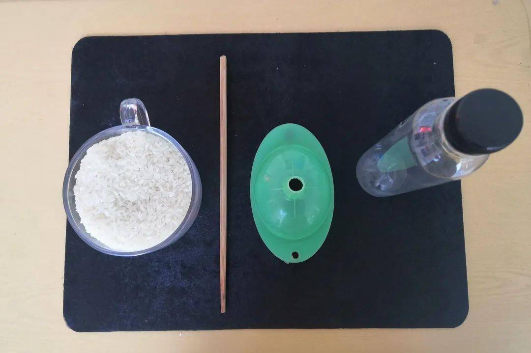 筷子提米的实验图片