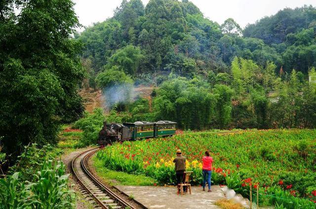 去犍為吧嘉陽小火車帶你重回蒸汽時代