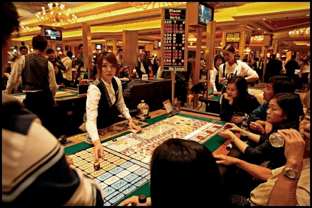 翻开底牌,为你揭秘最真实的赌术,赌城,赌王