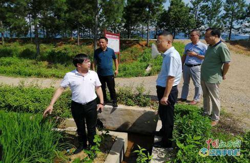 图)在寮塘乡冻边村烟叶示范点调研(朱涛供图)6月18日,安福县委副书记