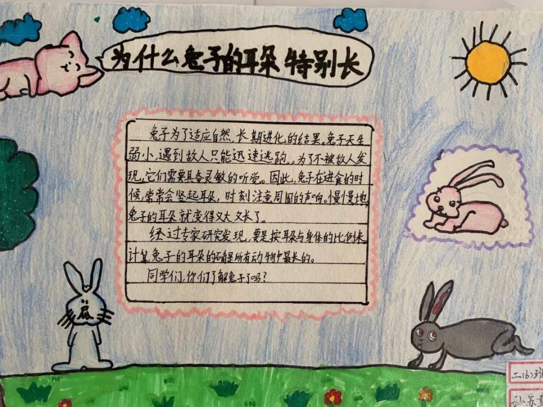 校区风景线走我们一起去制作自然卡片吧聚亨萌娃带您感受万物之美