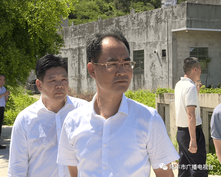 6月20日上午,市委副书记,市长许伟明深入金厢镇调研美丽乡村景观示范