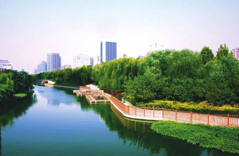 在滨湖,如何完美度夏呢?