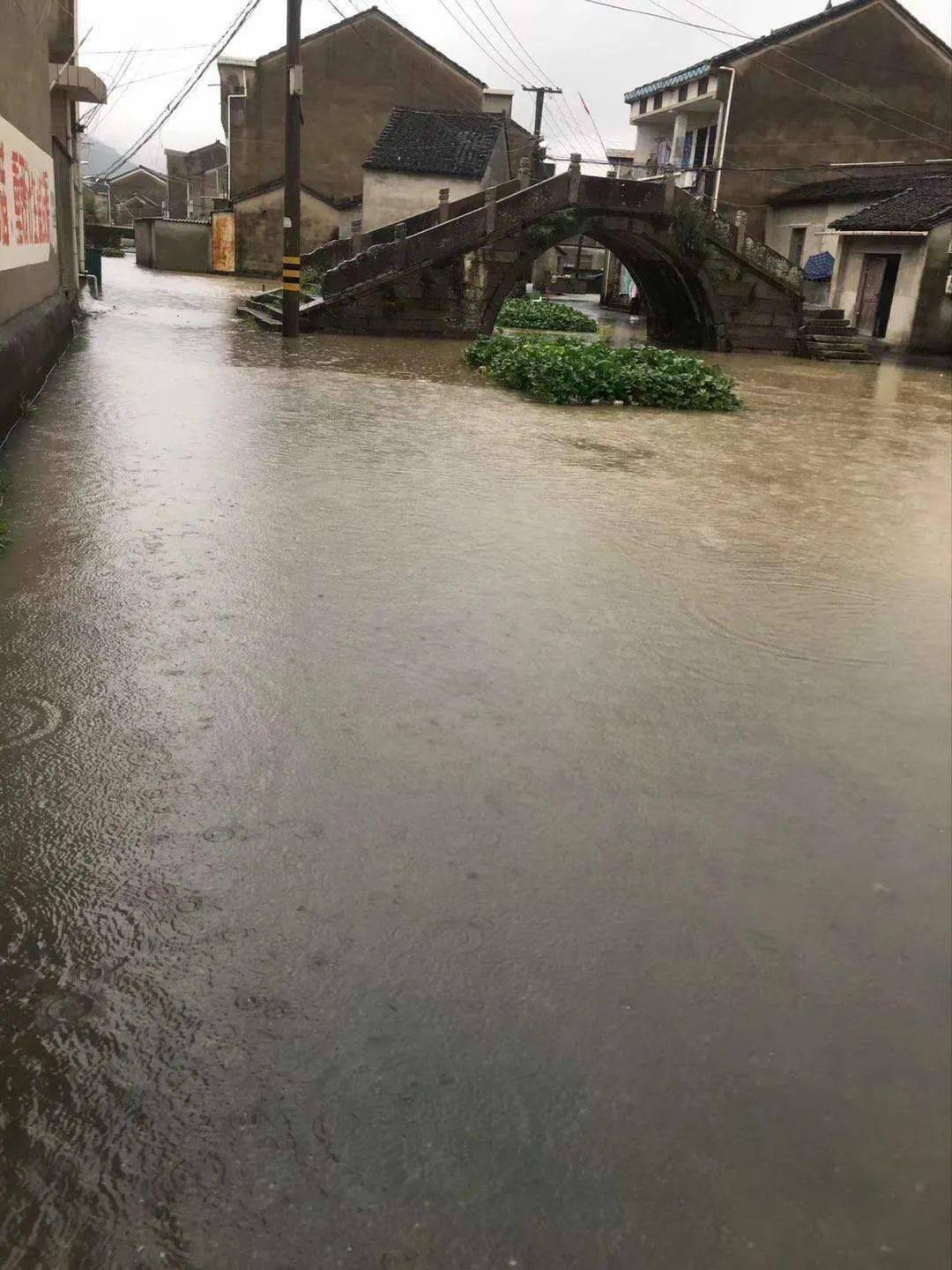 绍兴多地积水严重有个村道路被淹水陆不分