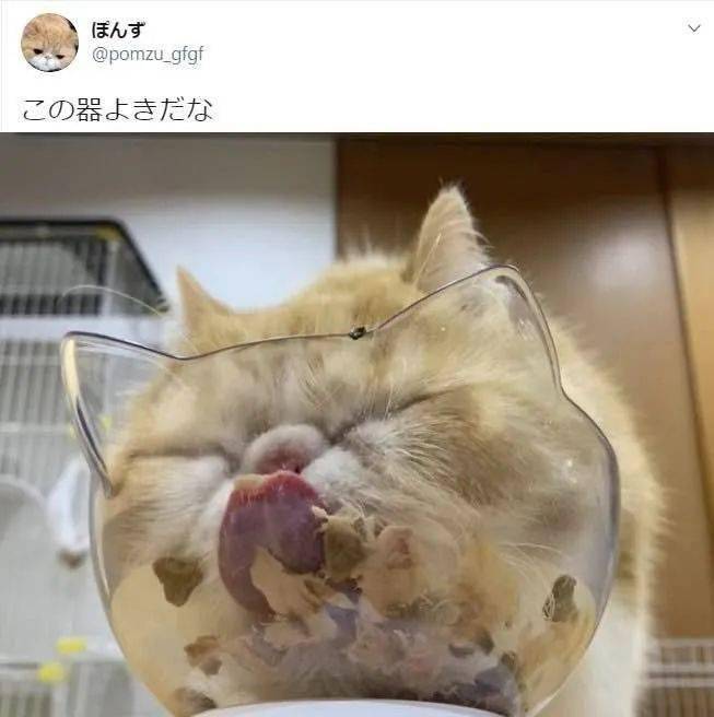 回去早点休息吧~好啦,这周的资讯就播报到这里,我们下期再见~奥利给!