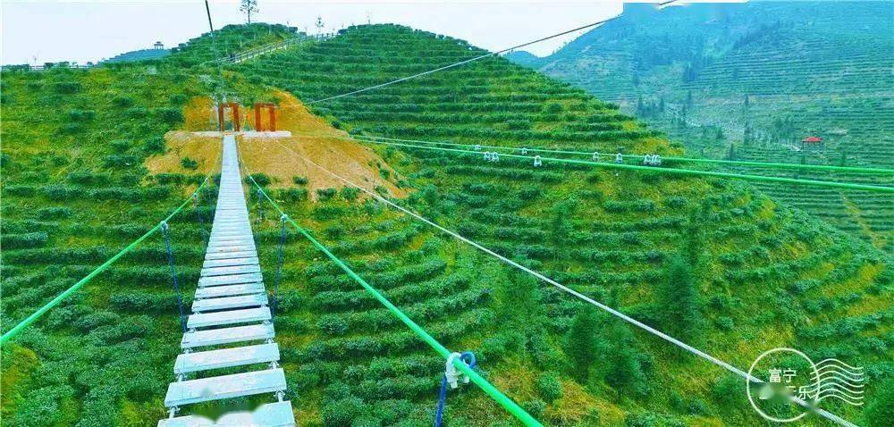 玻璃桥有多刺激,风景就有多好 不仅能俯瞰整个景区景色 俯