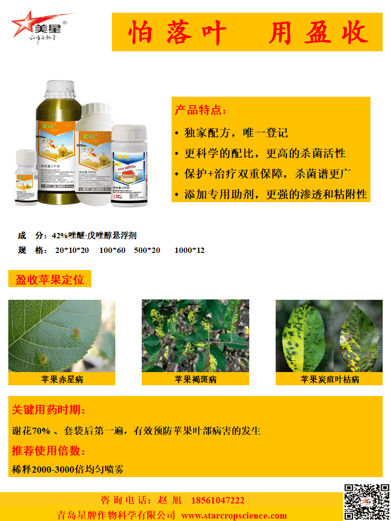 the end长按关注解锁更多精彩内幕果大夫微信号 : qdmisense青岛星牌