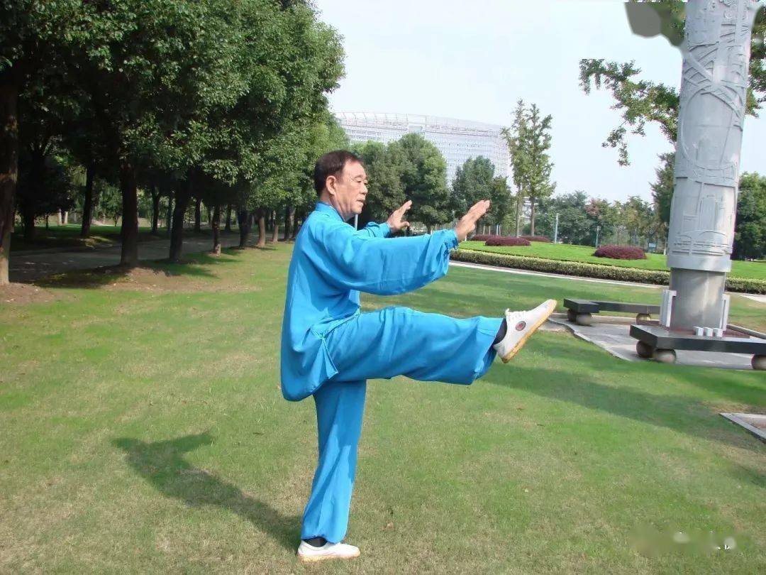 扎西拳艺公益教学闫长富老师讲解85式3031高探马右左分脚