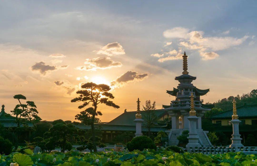 庐山东林之夏莲香满池禅意满寺
