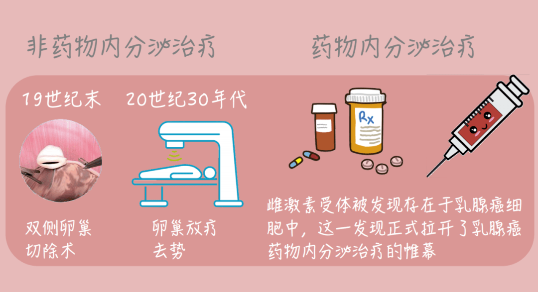 小芙带你看王永胜教授点评乳腺癌内分泌治疗的发展之旅