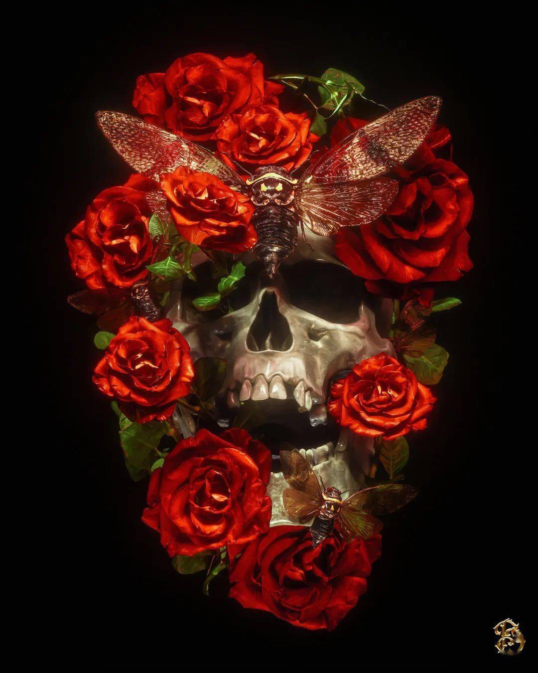 黑暗x优雅x浪漫billybogiatzoglou的哥特式时尚