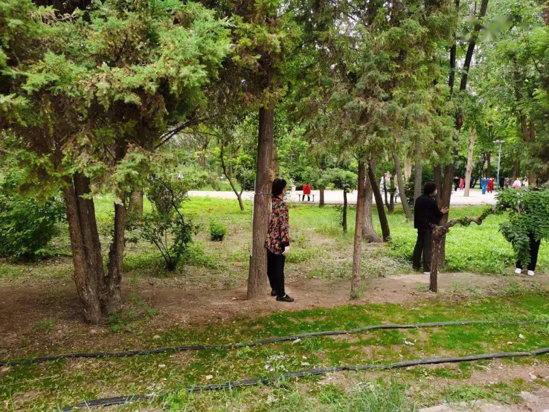 臨河人公園裡讓人臉紅的一組鏡頭