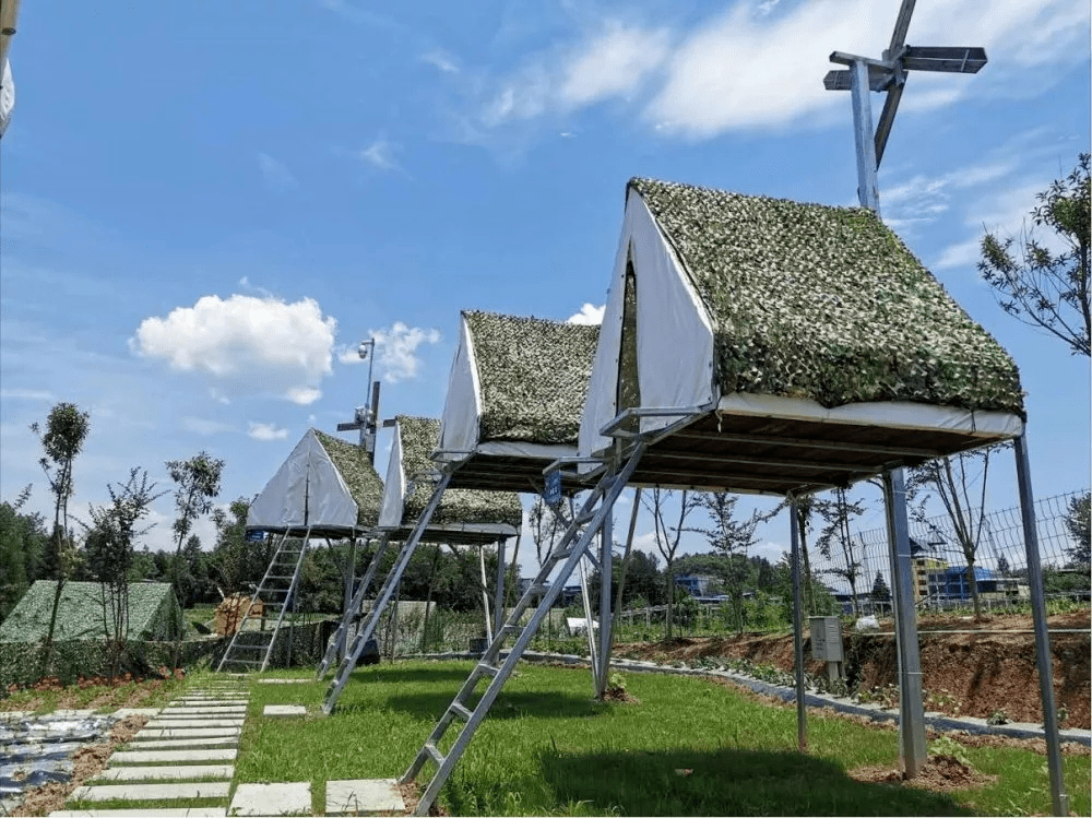 端午节,去汪营童话小镇免费吃喝玩乐…_利川