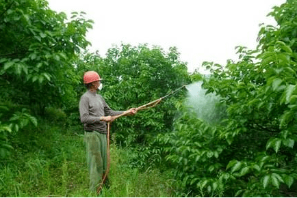 公安紧急通知果园别再打这些农药了要出大事了