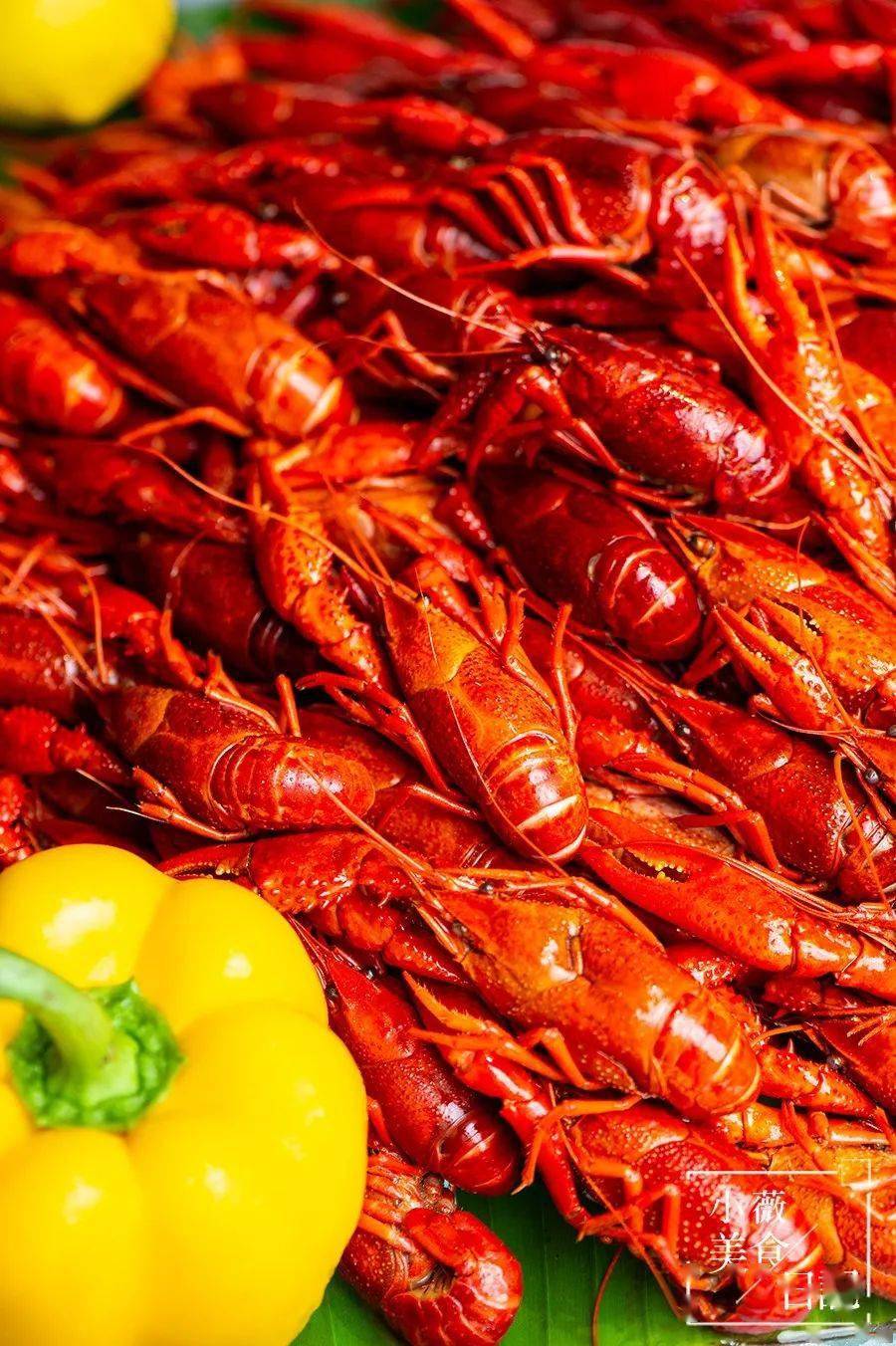 小龙虾拍了拍你,说:"快来凯宾斯基吃我鸭!