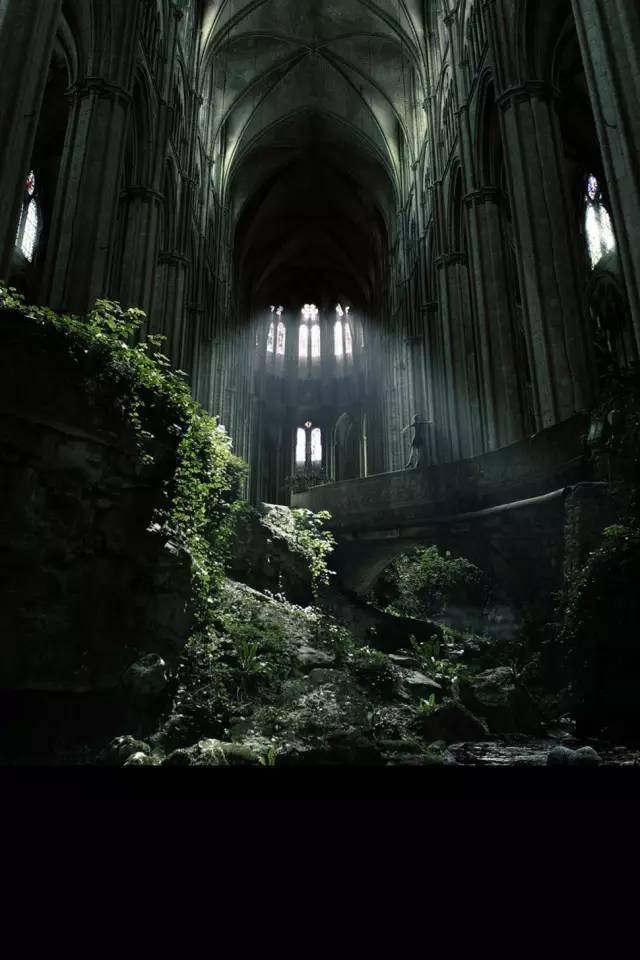 凋零的花朵,废墟美学