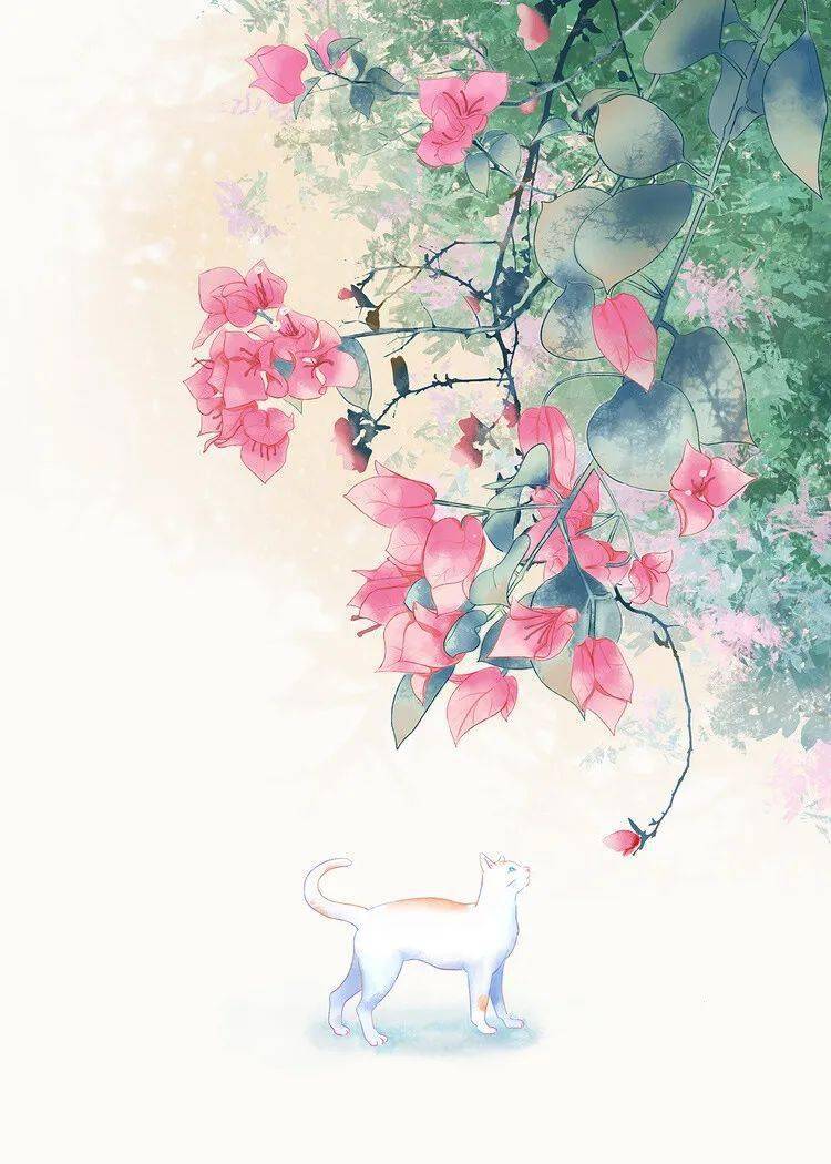 超美的古风背景|小扇引微凉,悠悠夏日长.