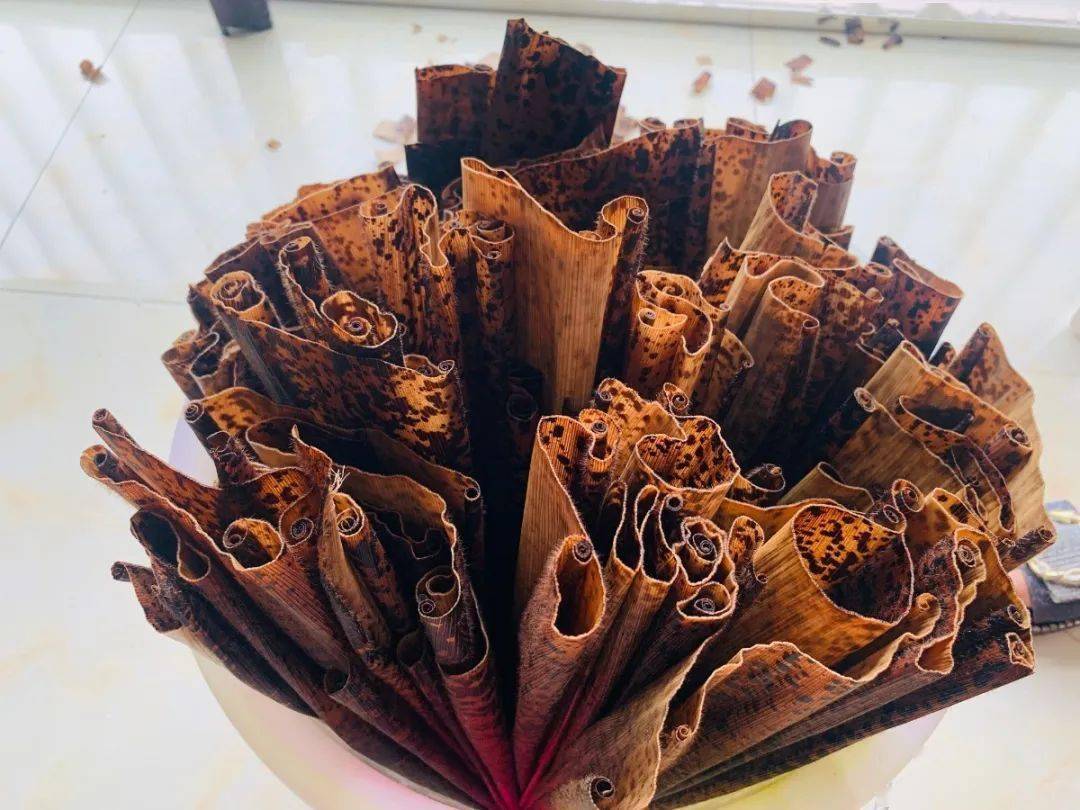 在包粽子之前,要先把经水浸泡后的楠竹笋壳叶煮软,这种笋壳叶比较大