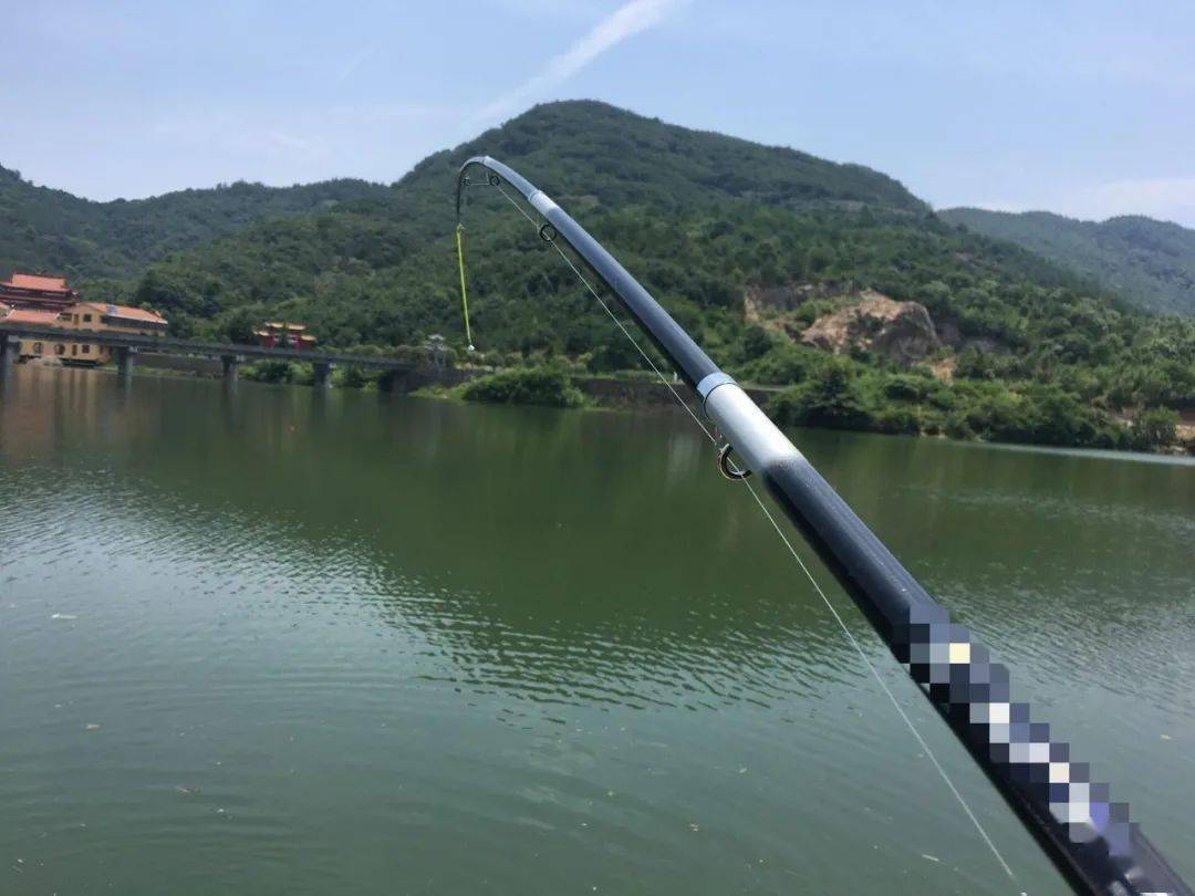 那是誘魚力不足,一個塑料瓶就能解決