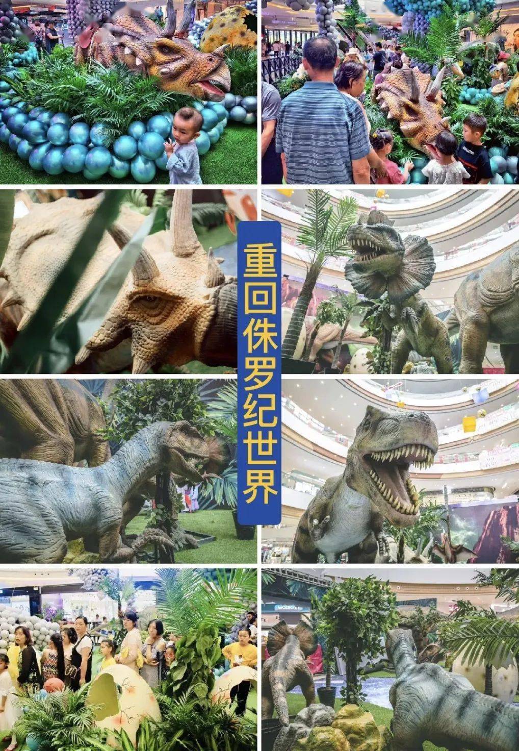 文旅推荐大型恐龙展空降汉台啦快带着孩子来打卡吧